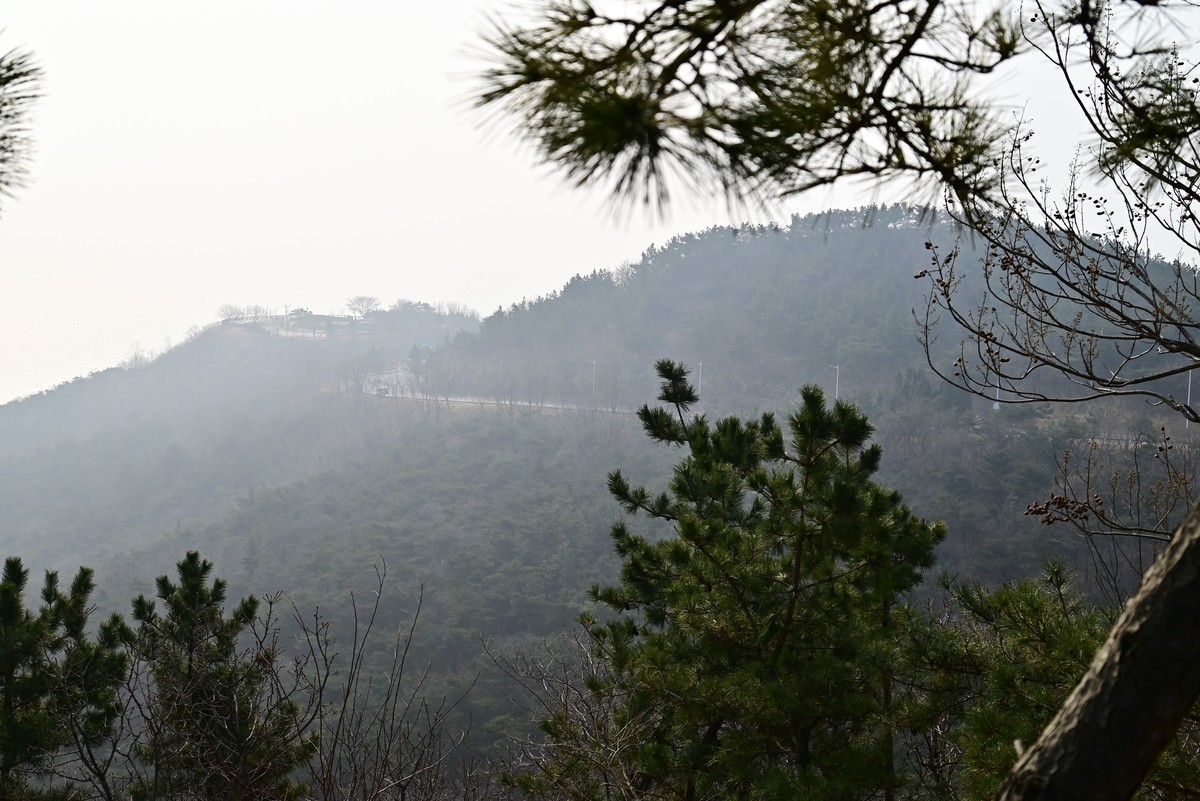 春游海之韵公园