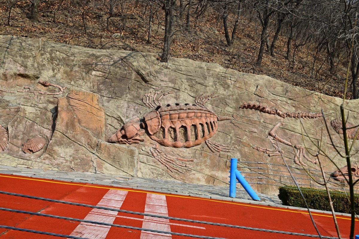 春游海之韵公园