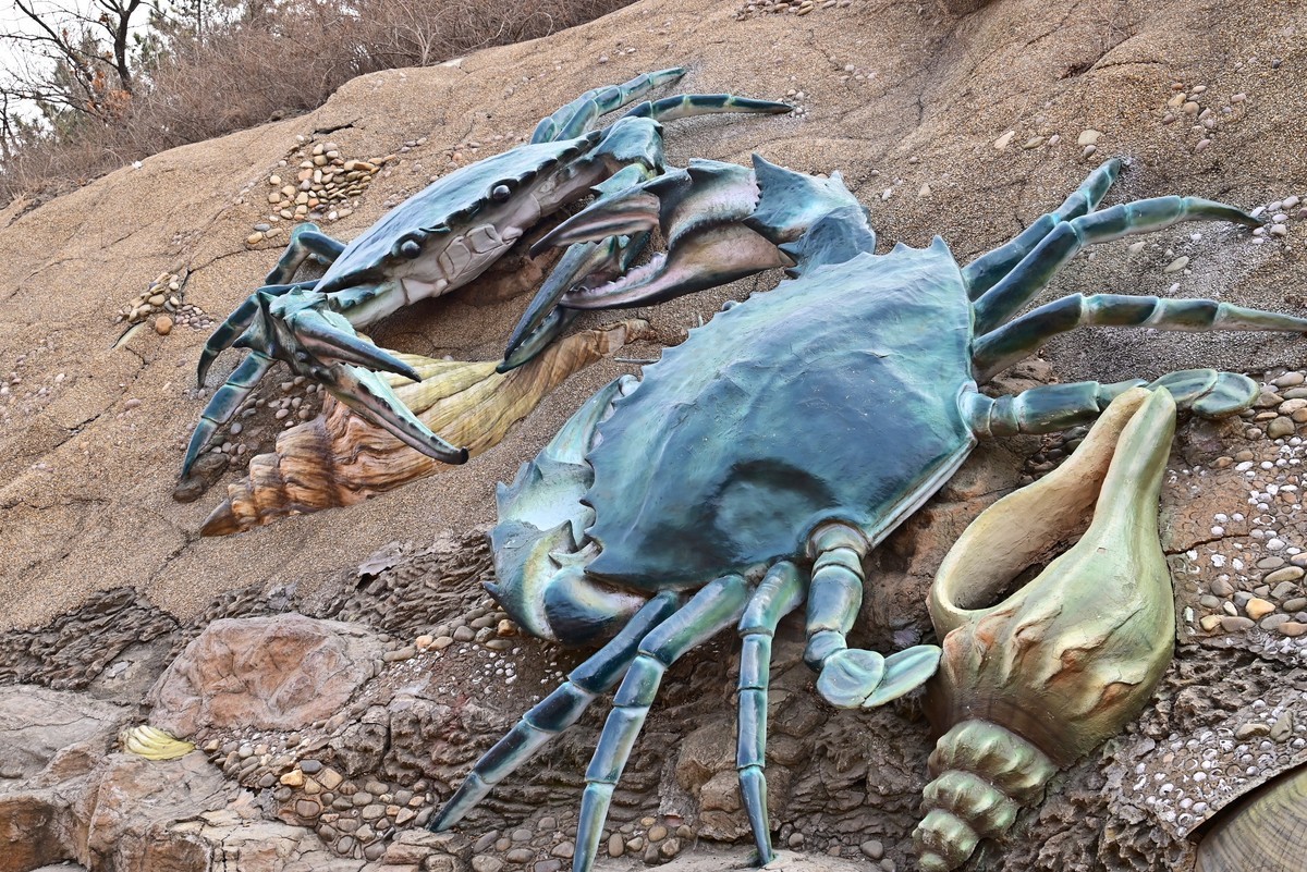 春游海之韵公园