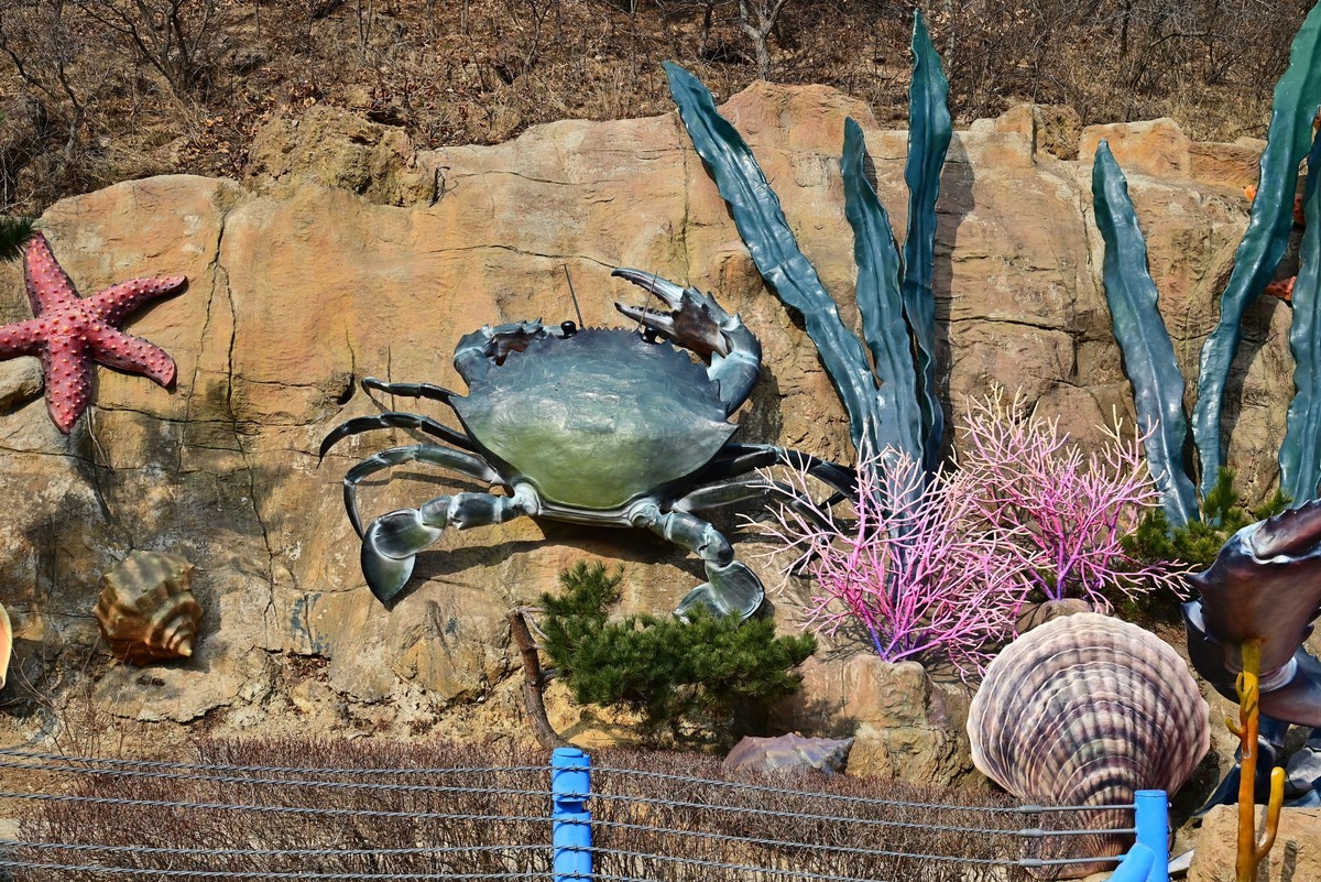 春游海之韵公园