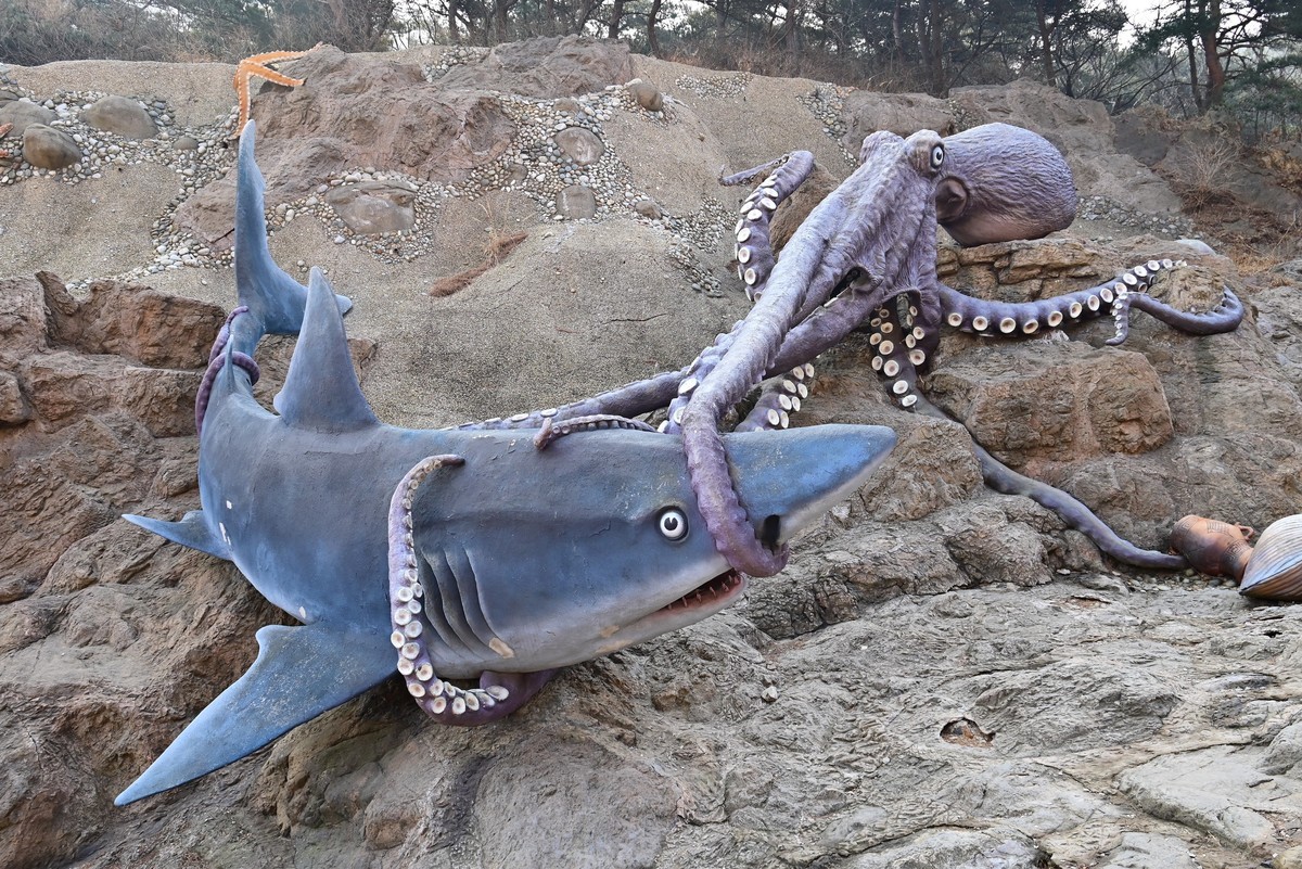 春游海之韵公园