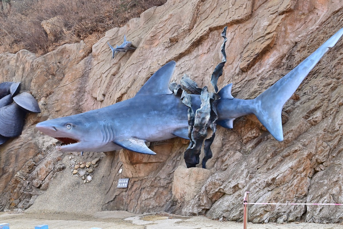 春游海之韵公园