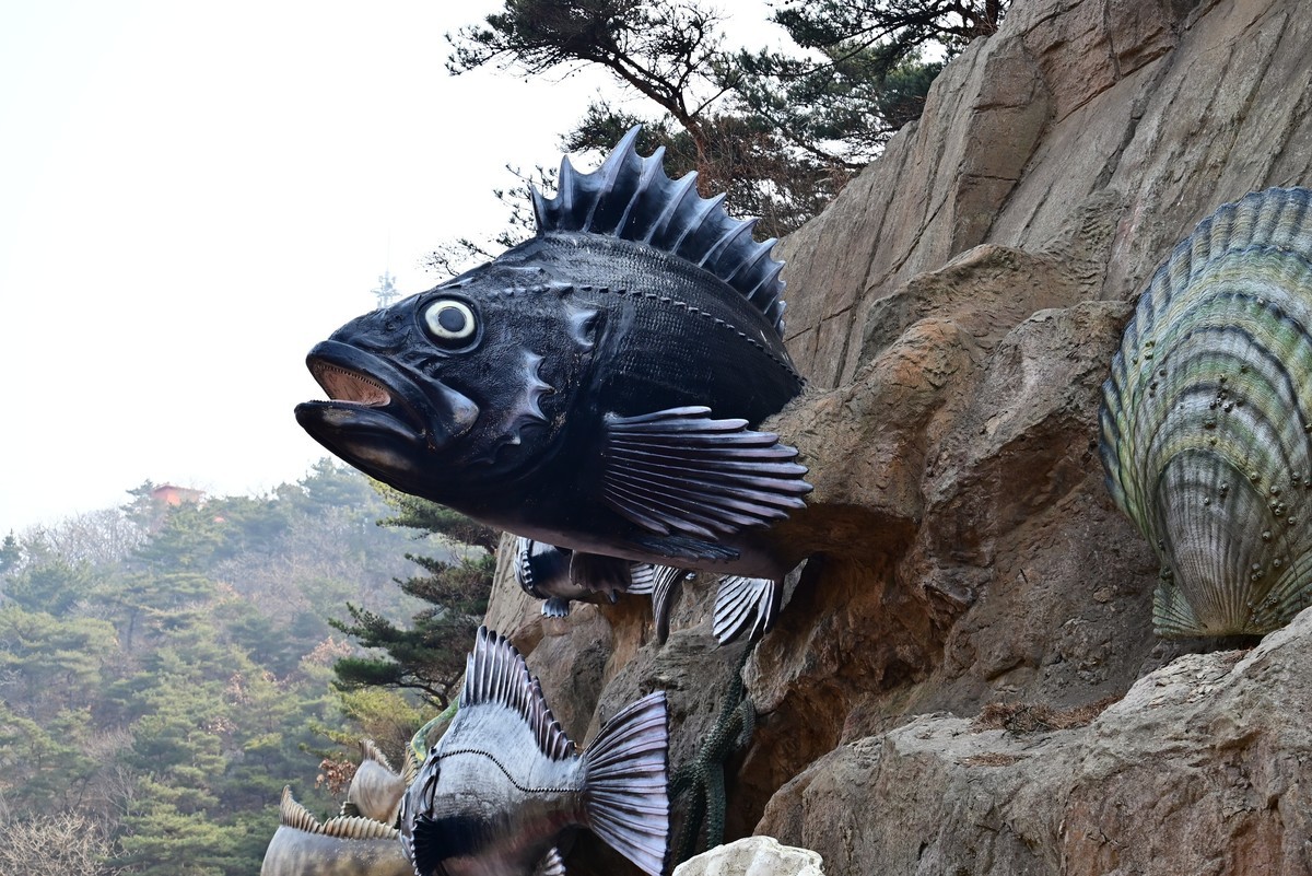 春游海之韵公园