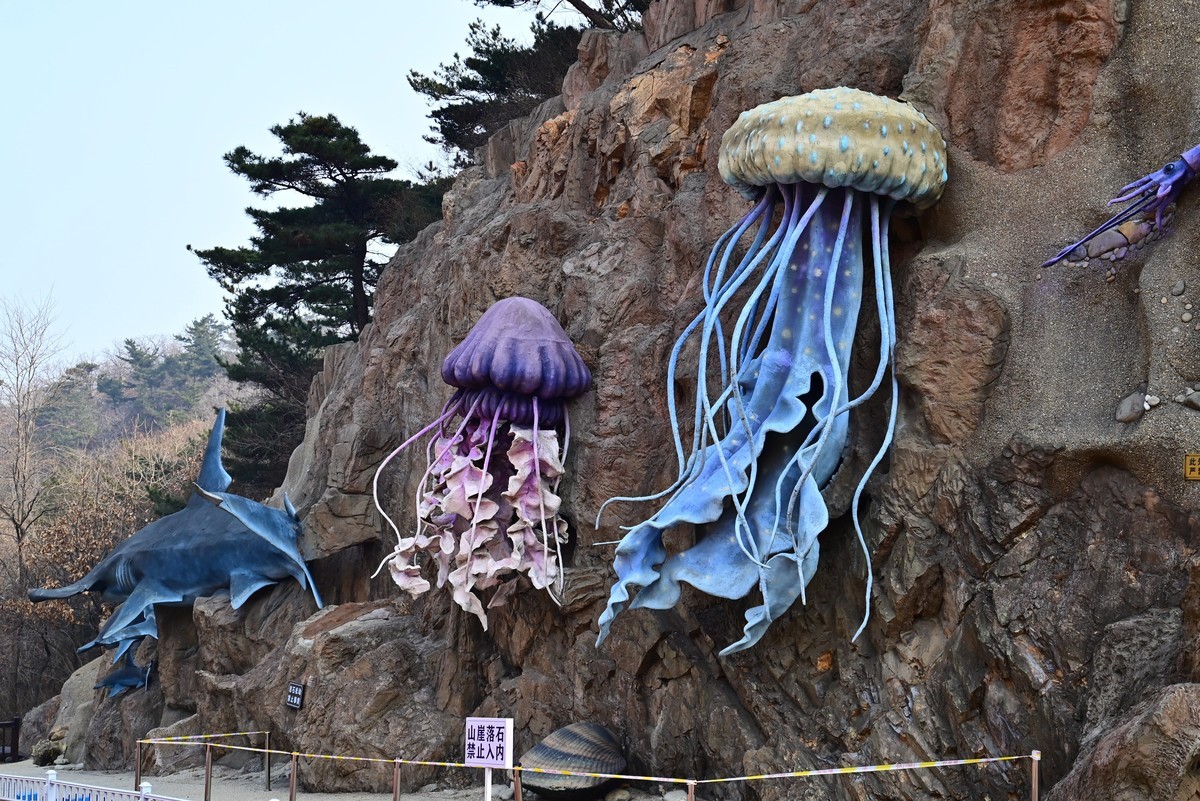 春游海之韵公园