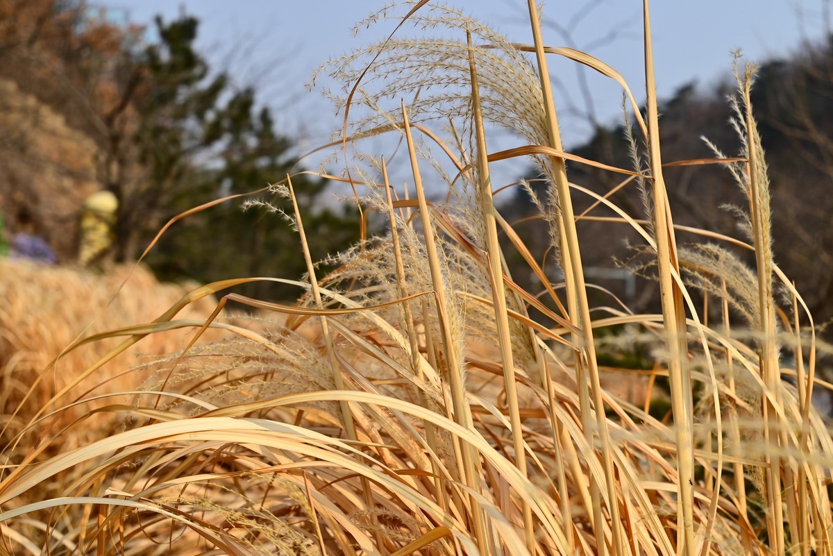 春游海之韵公园