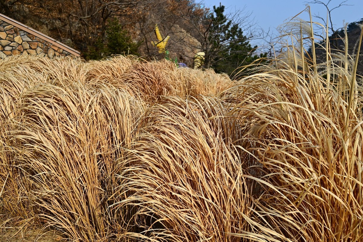 春游海之韵公园
