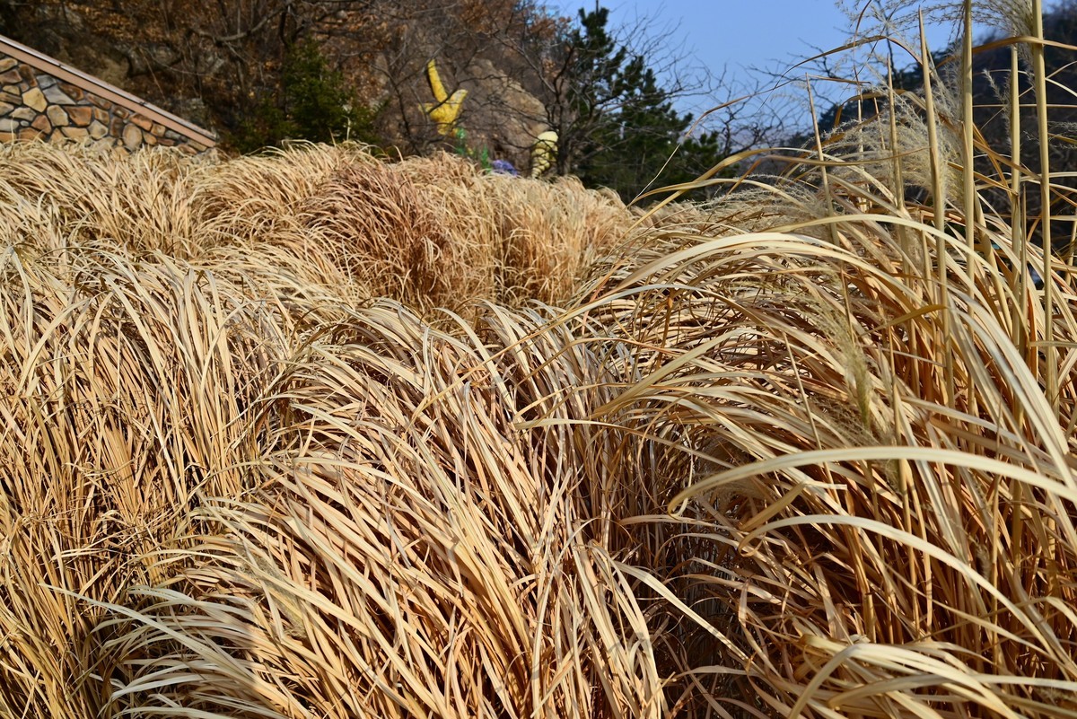 春游海之韵公园