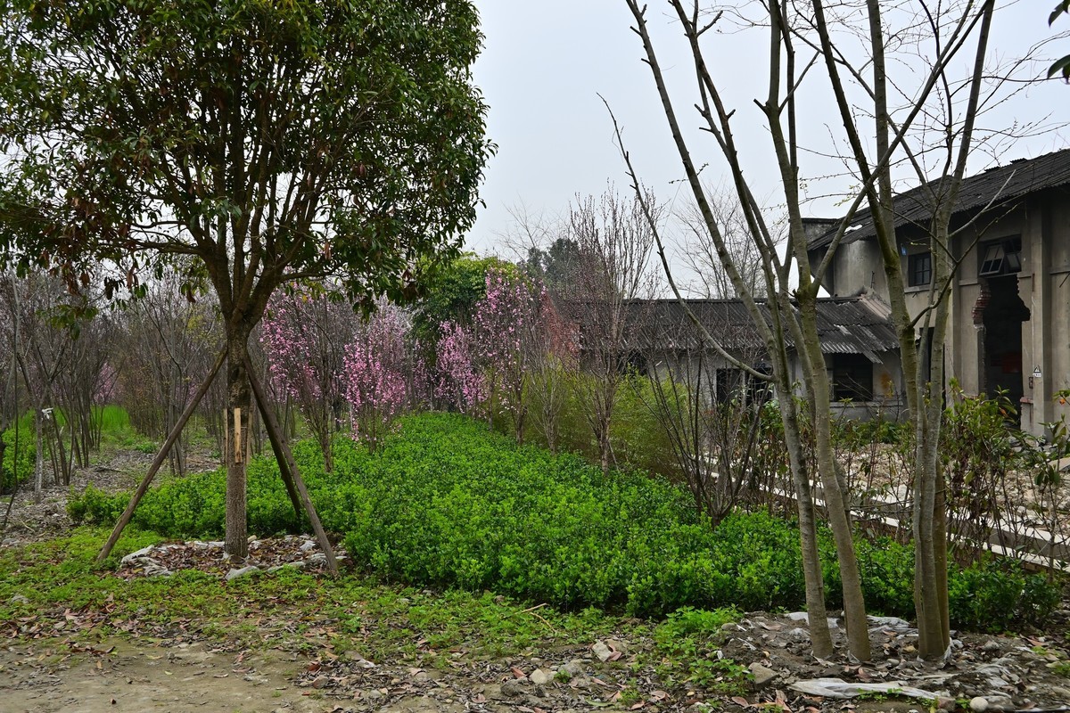 星空体育平台堆镇南兴花桥附近废弃建筑