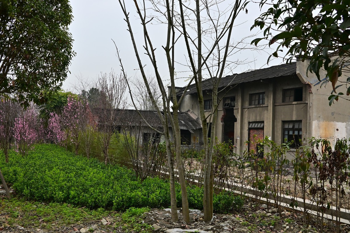 星空体育平台堆镇南兴花桥附近废弃建筑