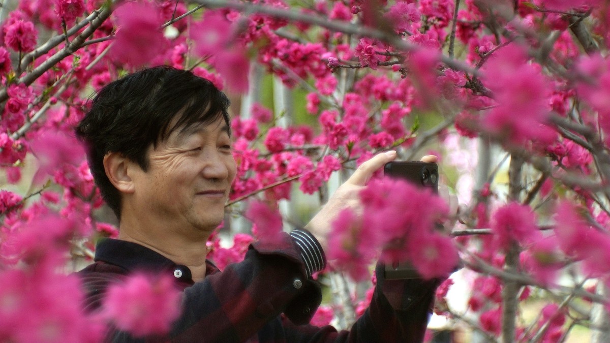 桃花岛上随见随拍