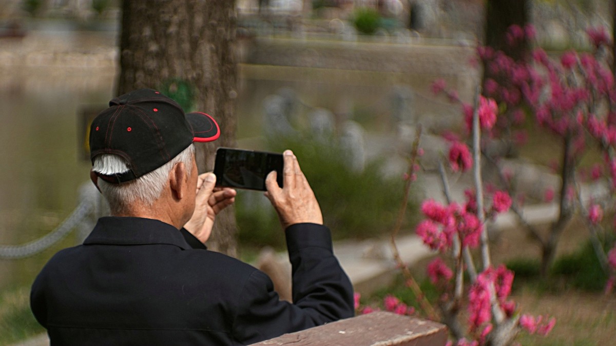 桃花岛上随见随拍