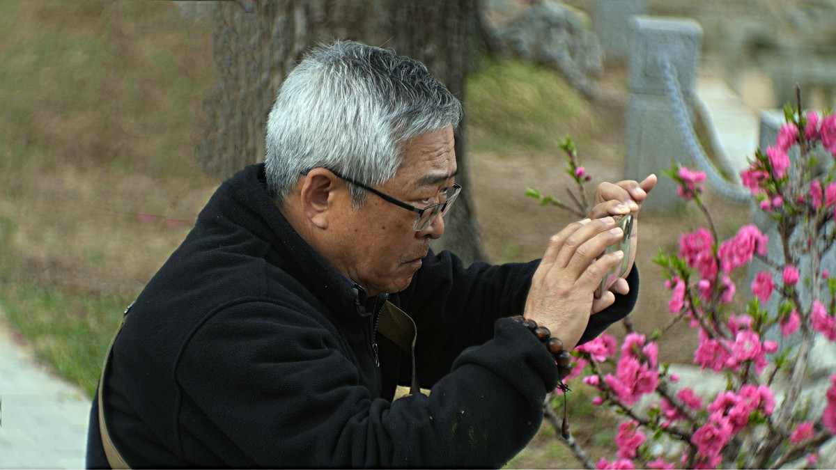 桃花岛上随见随拍