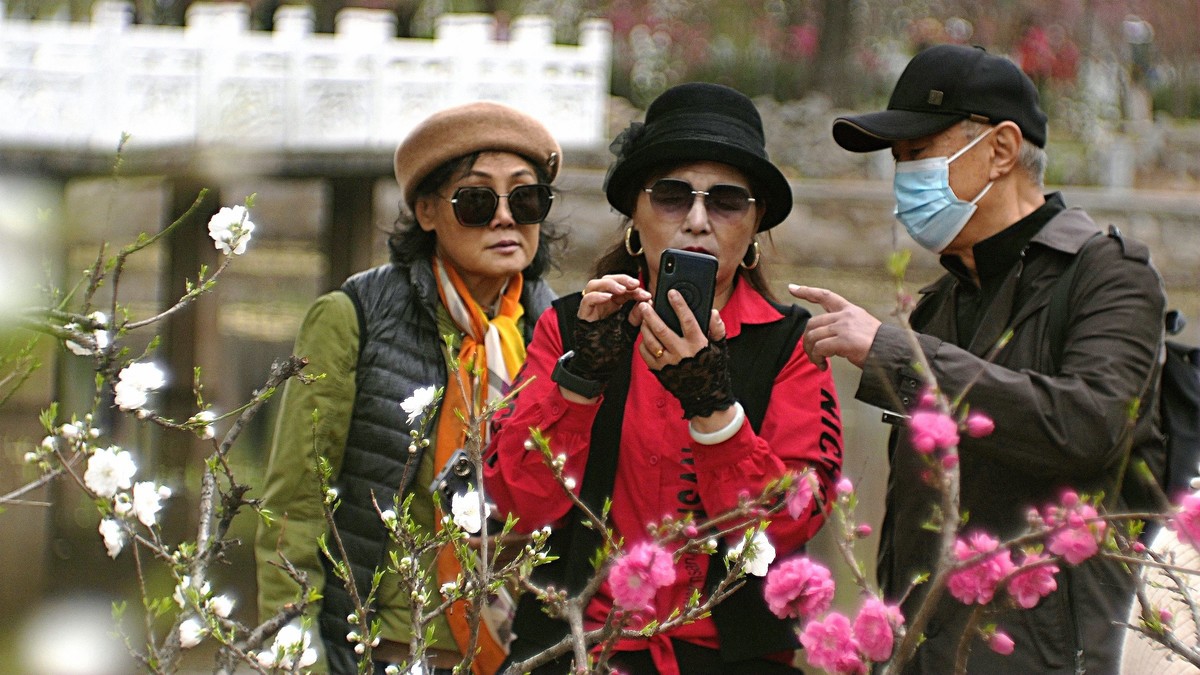 桃花岛上随见随拍