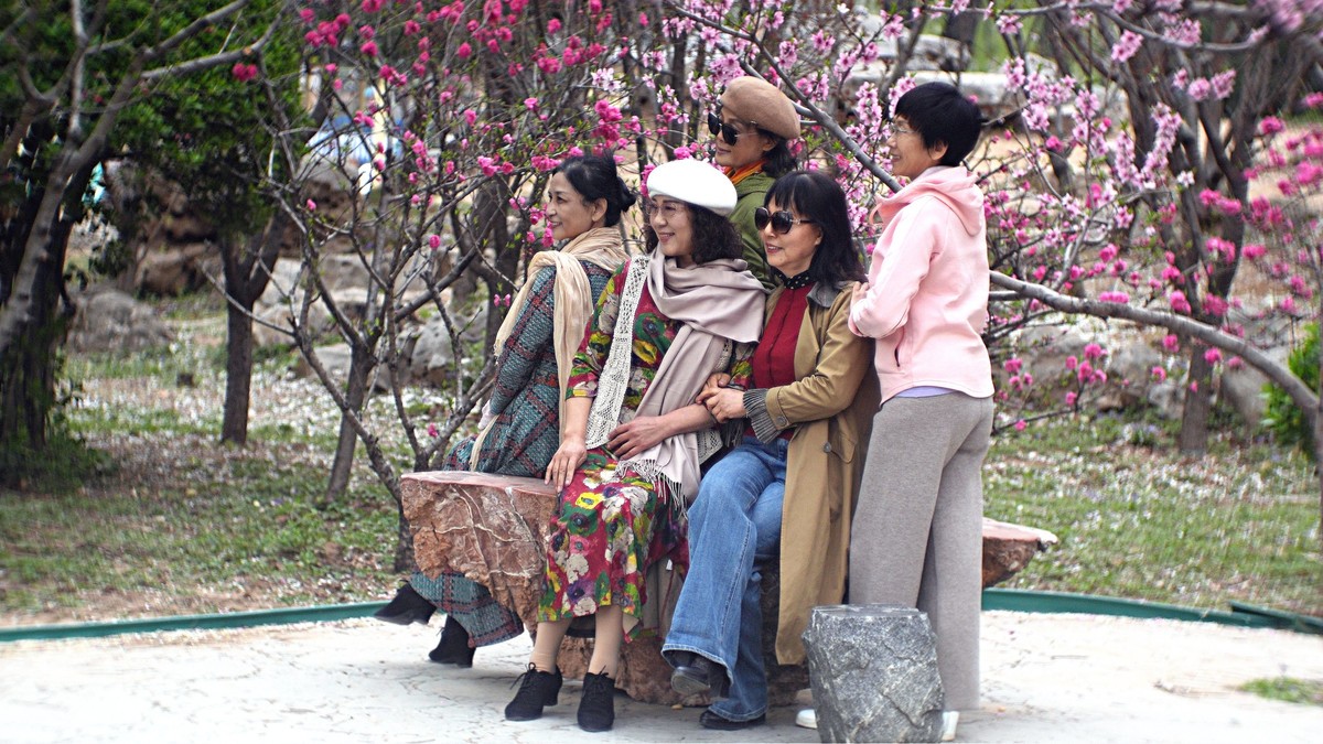 桃花岛上随见随拍