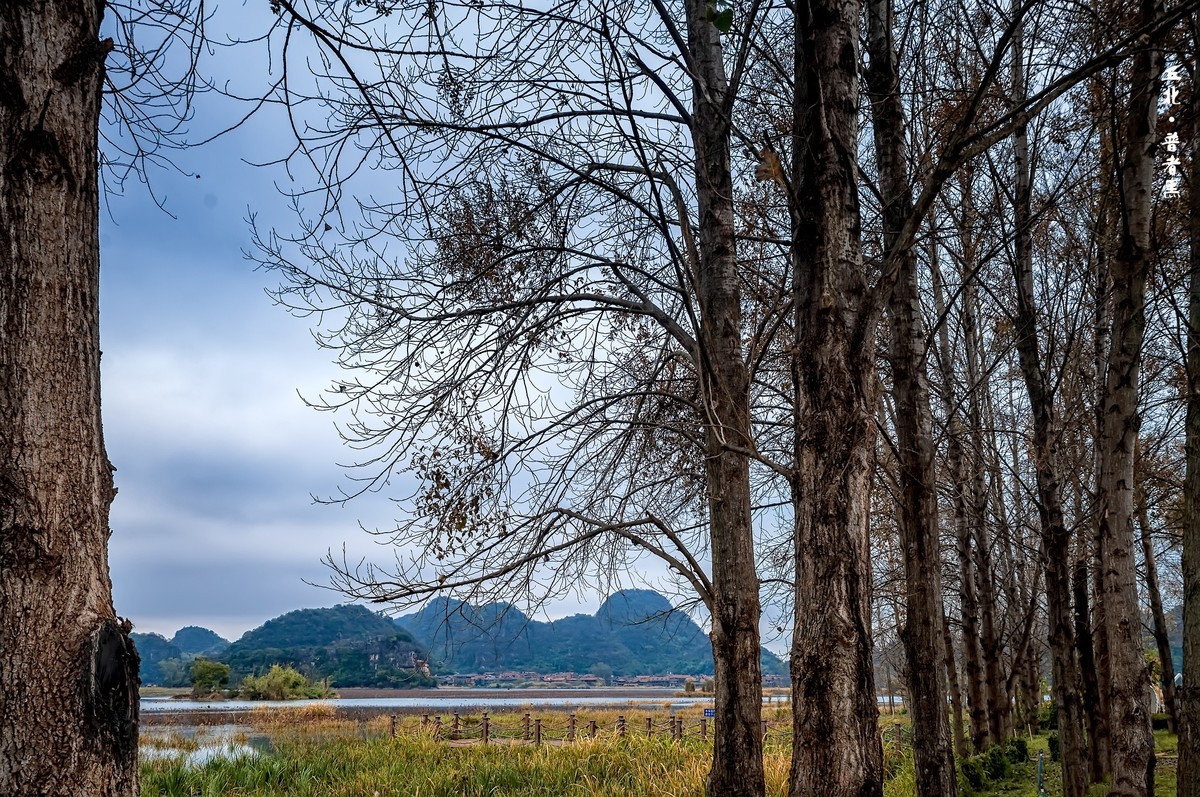 云南丘北 · 普者黑的田原风光（2）