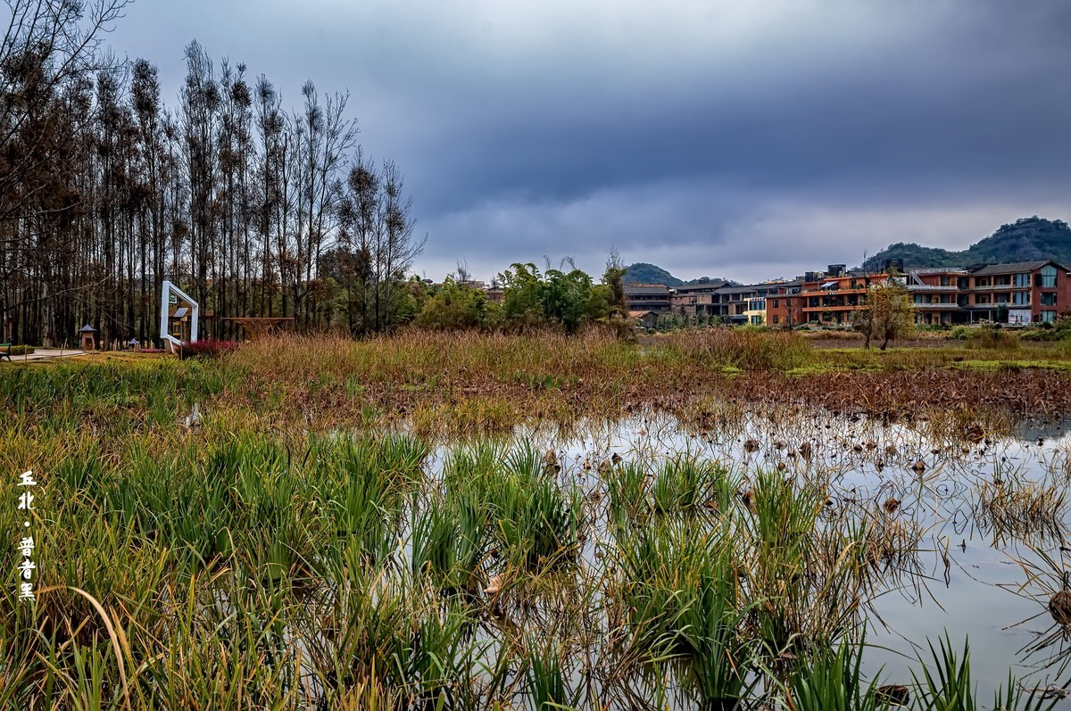 云南丘北 · 普者黑的田原风光（2）