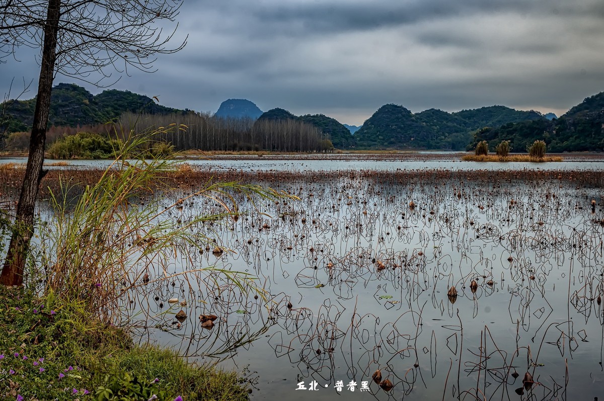 云南丘北 · 普者黑的田原风光（2）