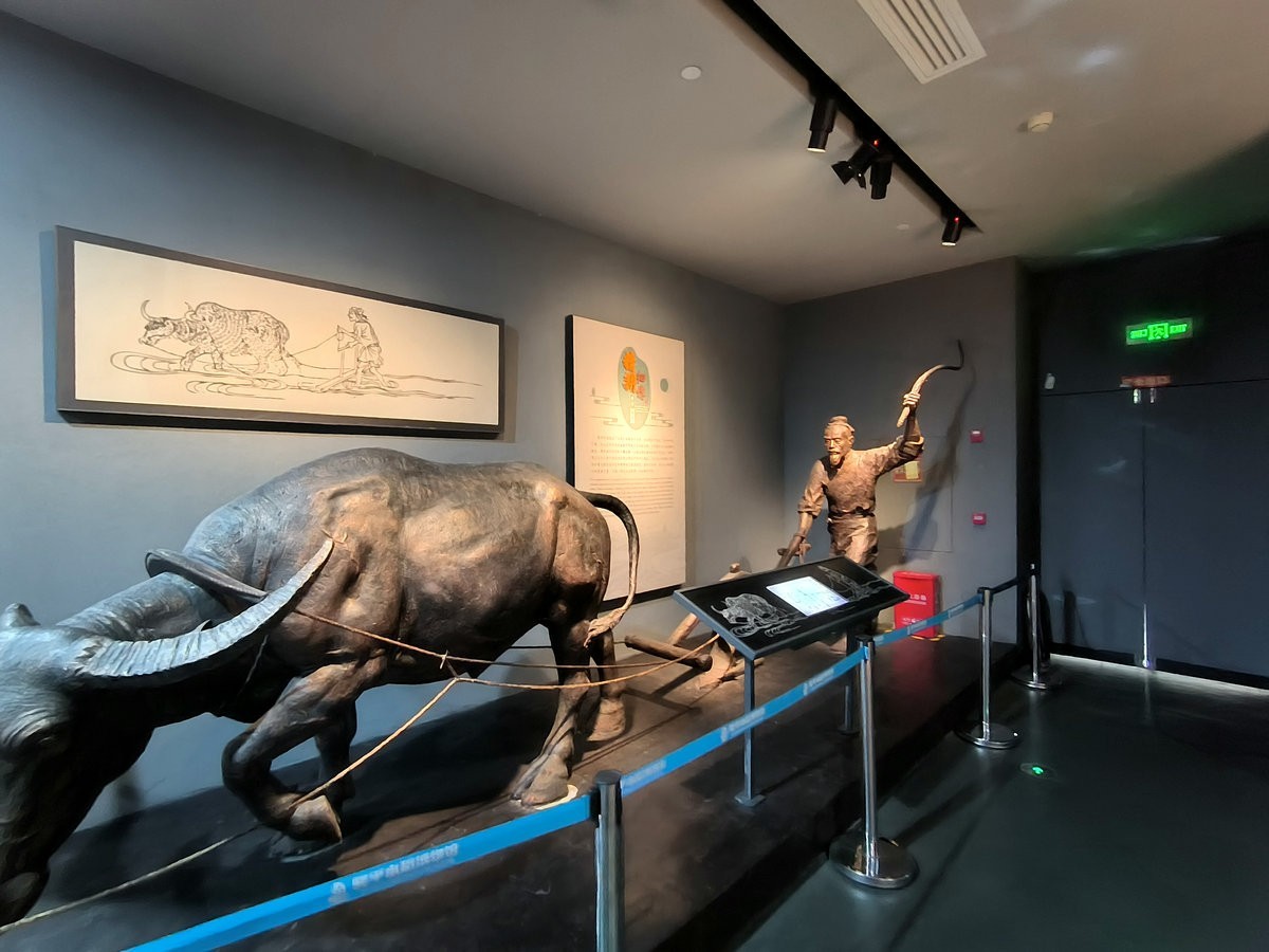 漫步星城 走街串巷（661）隆平水稻博物馆