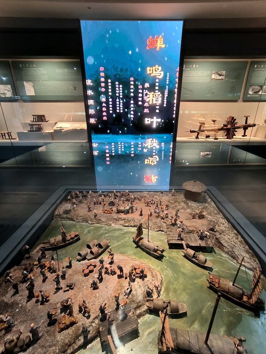 漫步星城 走街串巷（661）隆平水稻博物馆