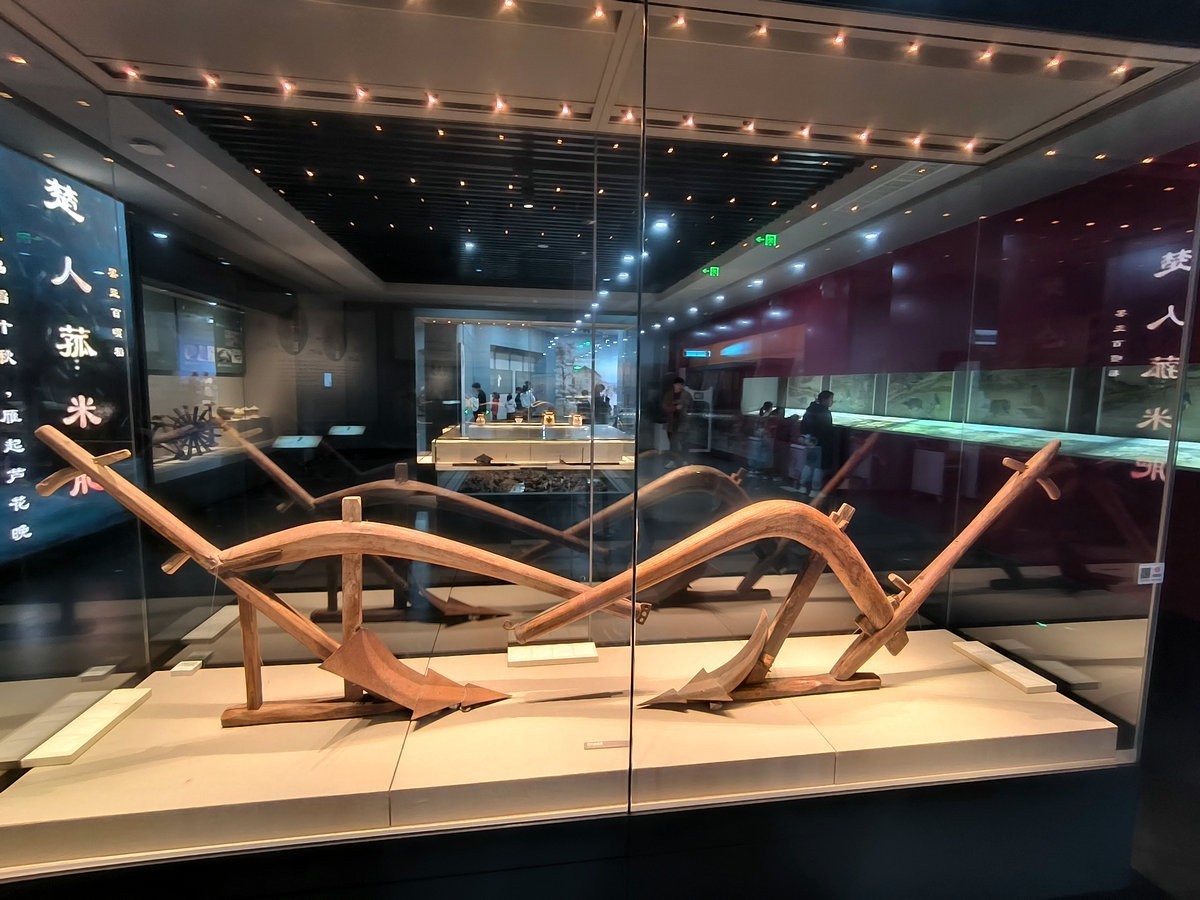 漫步星城 走街串巷（661）隆平水稻博物馆