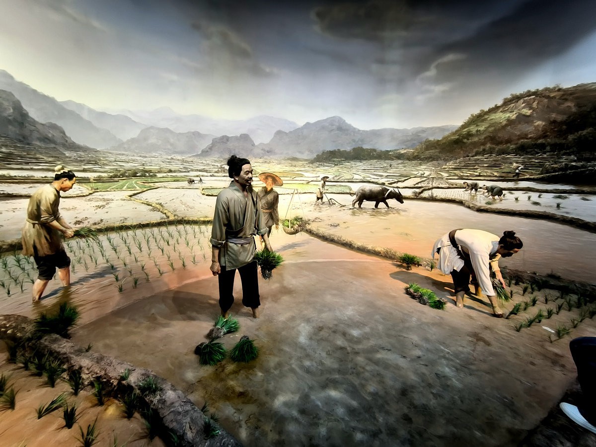 漫步星城 走街串巷（661）隆平水稻博物馆