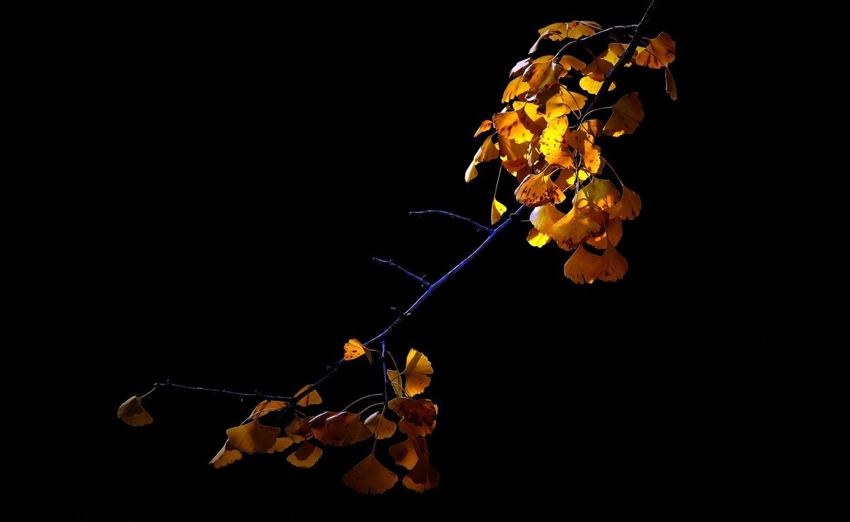 洛阳从政坊第二组