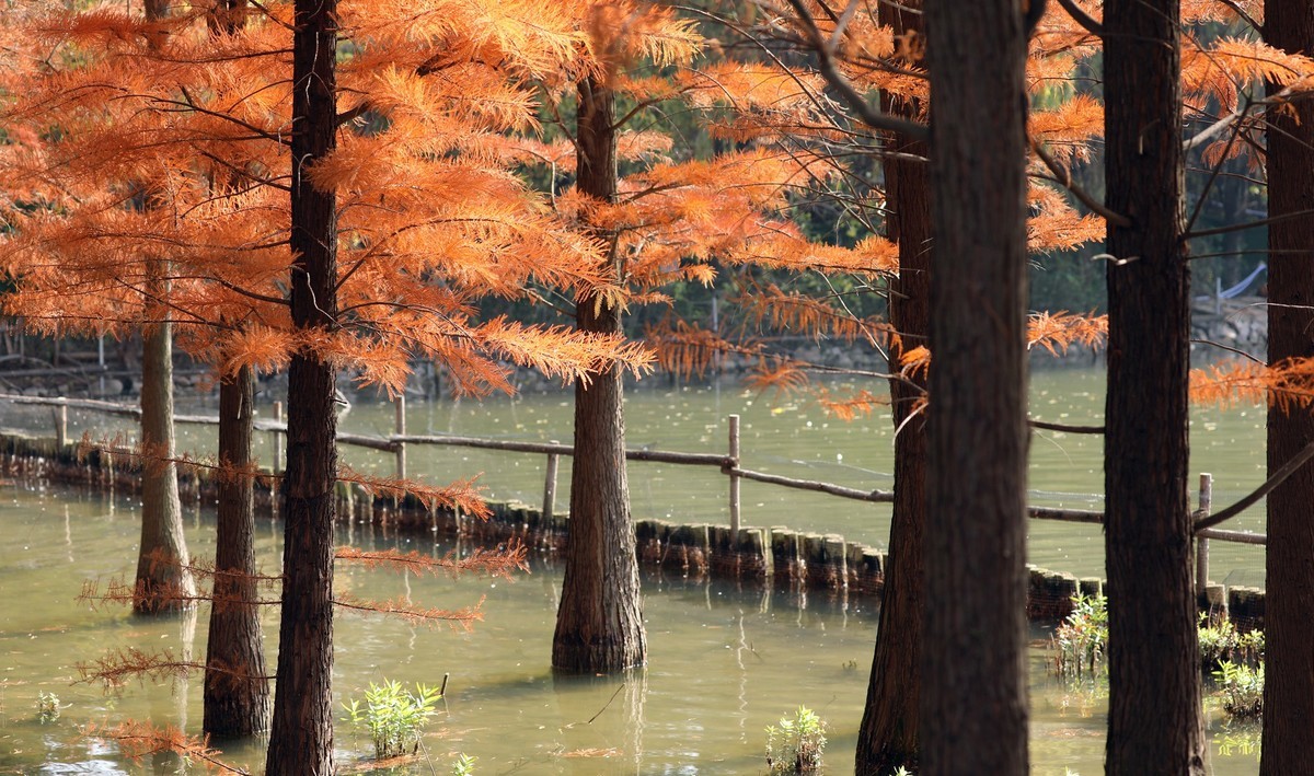 洛阳从政坊第二组