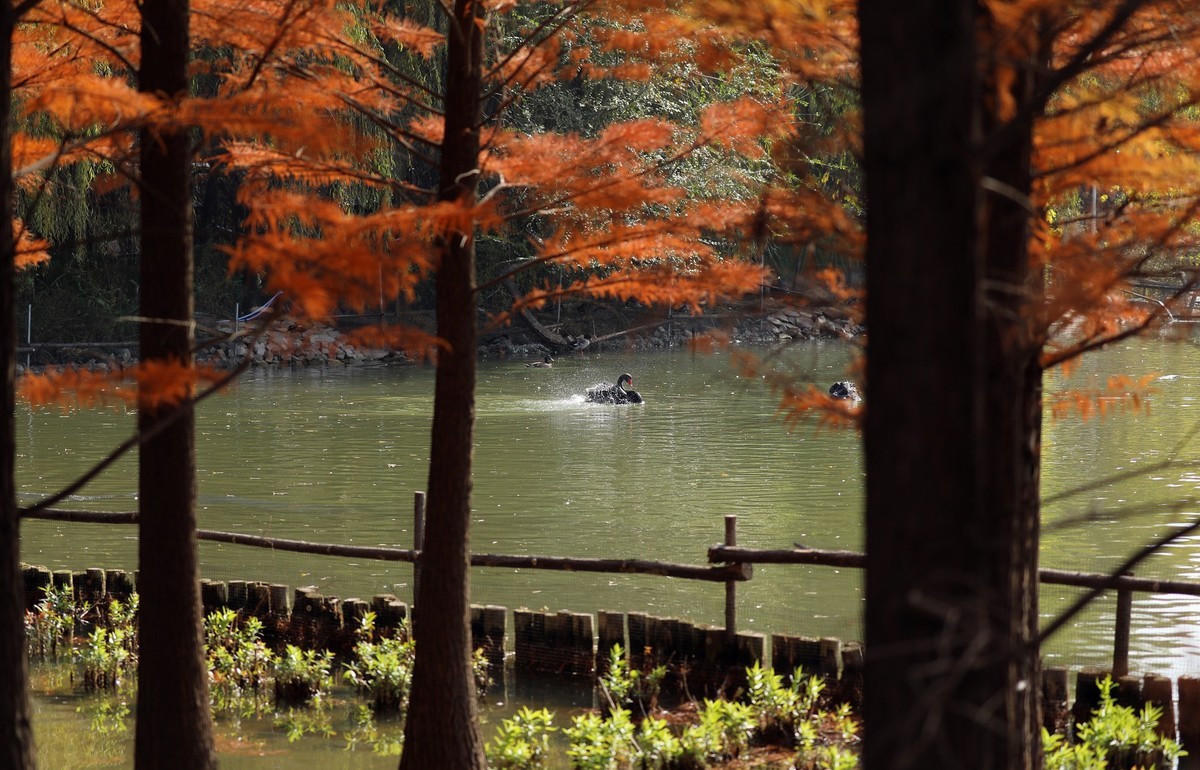 洛阳从政坊第二组
