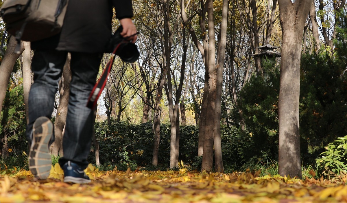 洛阳从政坊第二组