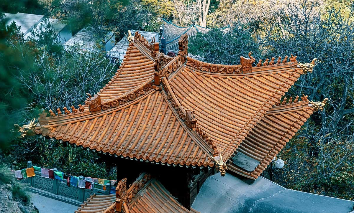 随                            拍