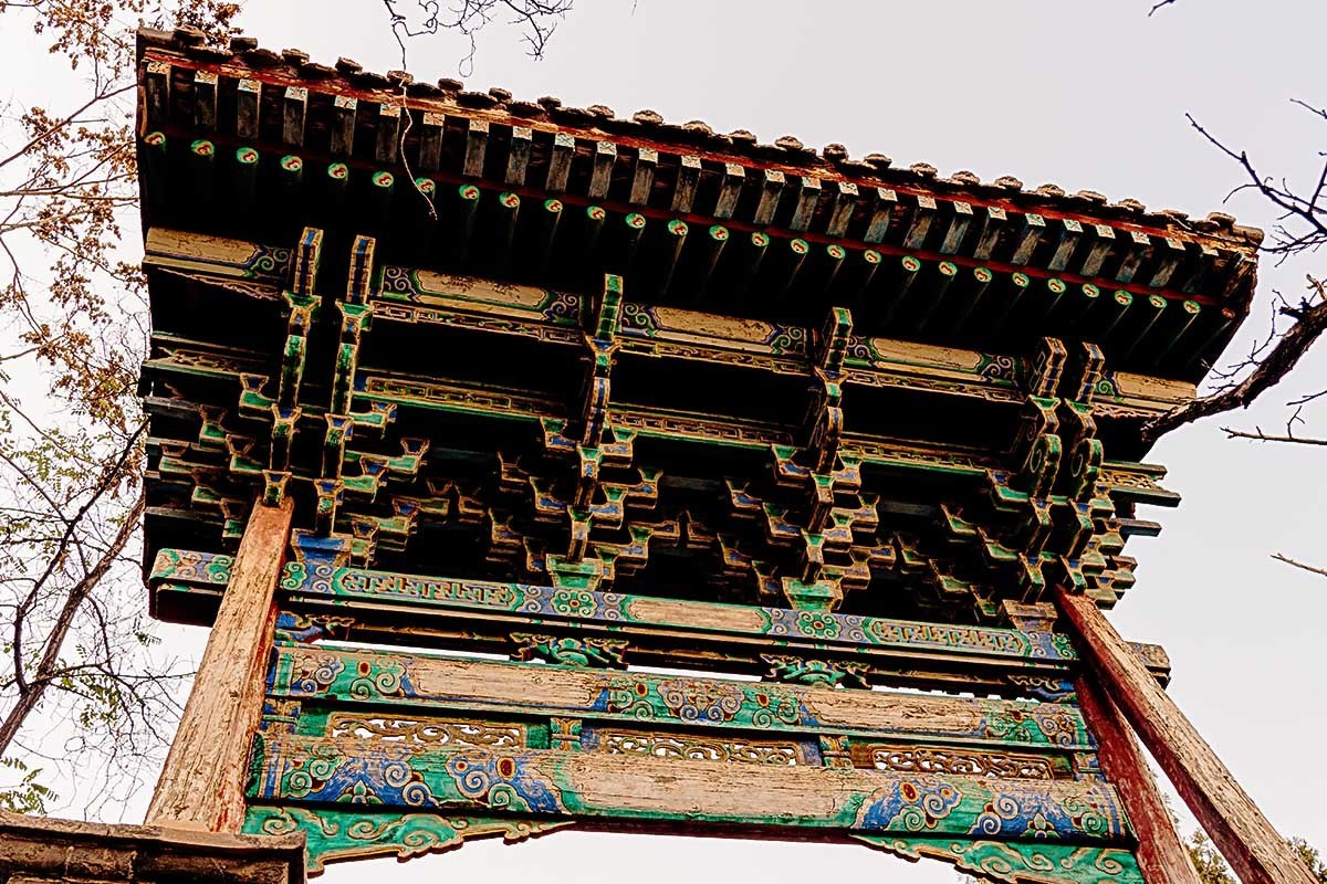 随                            拍