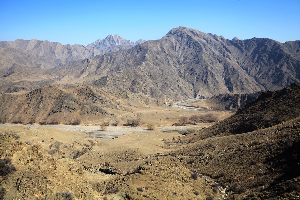 荒凉的贺兰山里