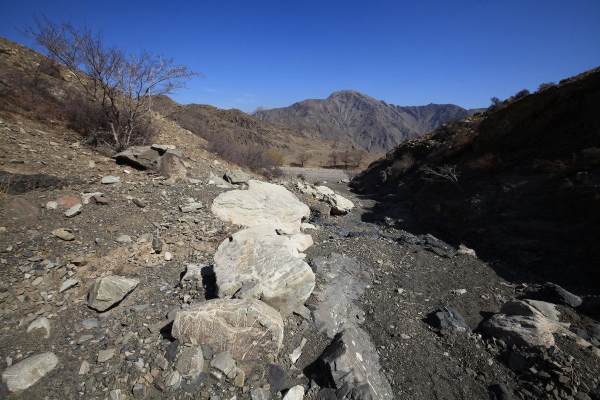 荒凉的贺兰山里