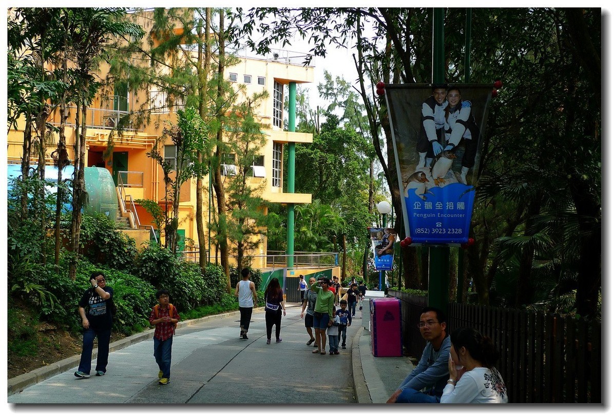 小DC陪我游香港：海洋公园（4）