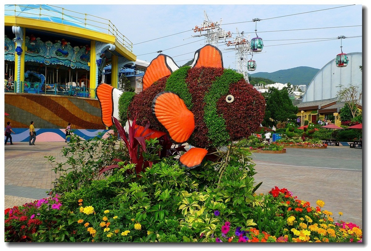 小DC陪我游香港：海洋公园（4）