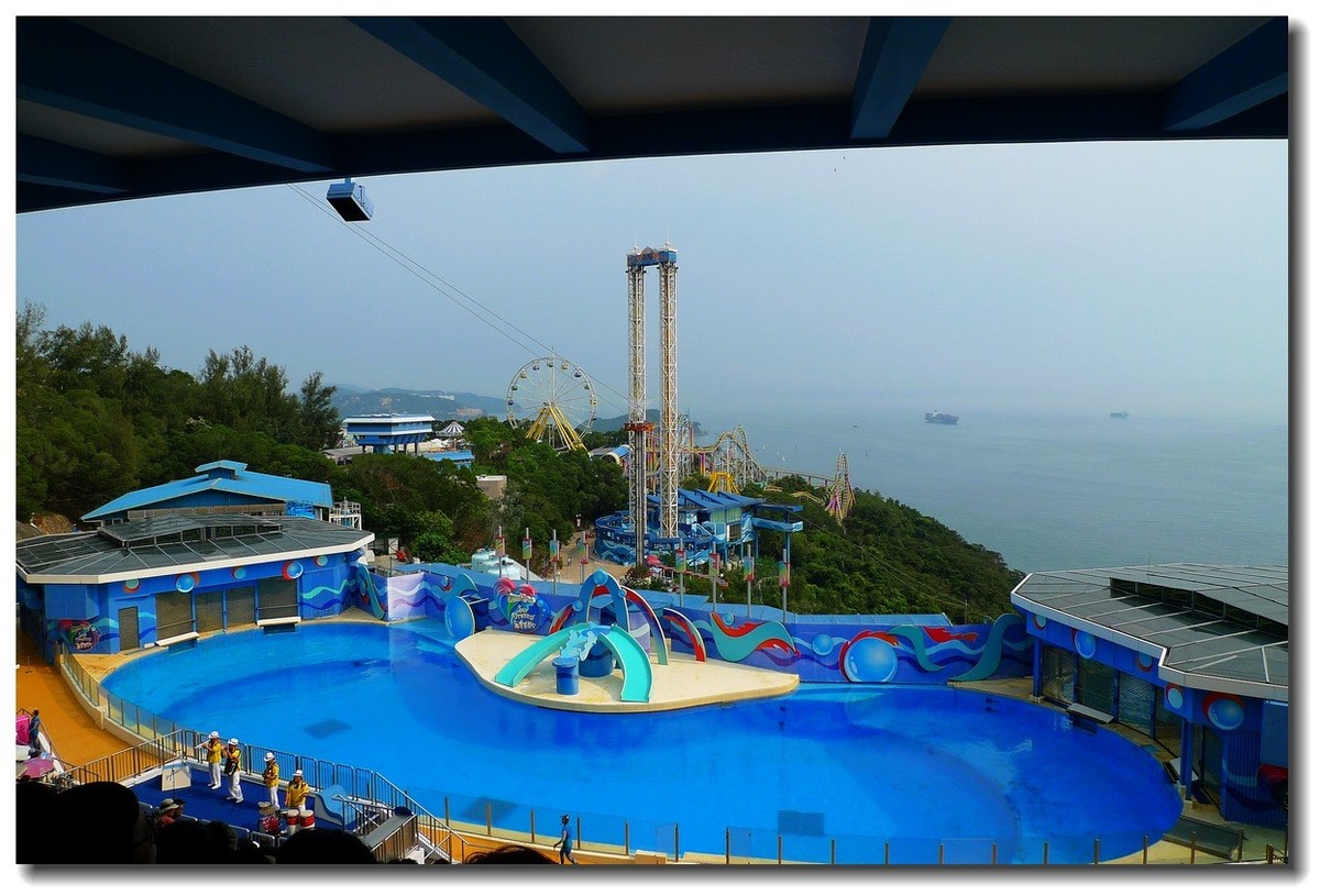 小DC陪我游香港：海洋公园（3）