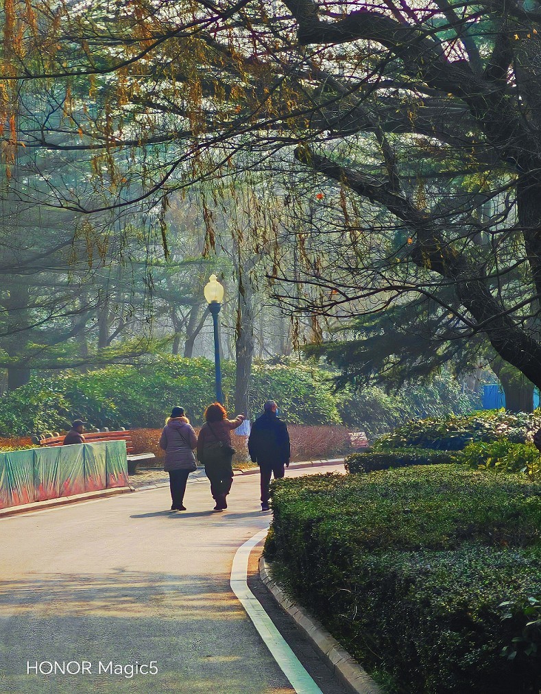 冬季胡拍乱拍扫《冬景就是冬天的景》《干枝烂叶总是情》什么乱七八糟的名字！