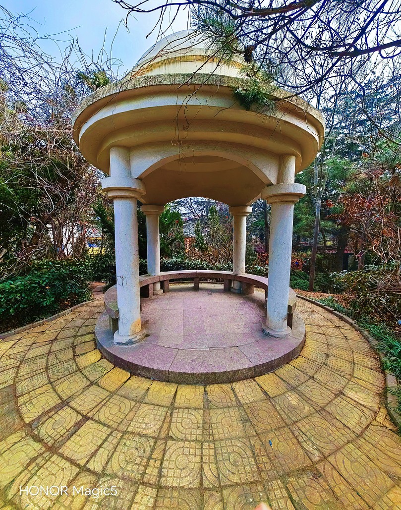 冬季胡拍乱拍扫《冬景就是冬天的景》《干枝烂叶总是情》什么乱七八糟的名字！