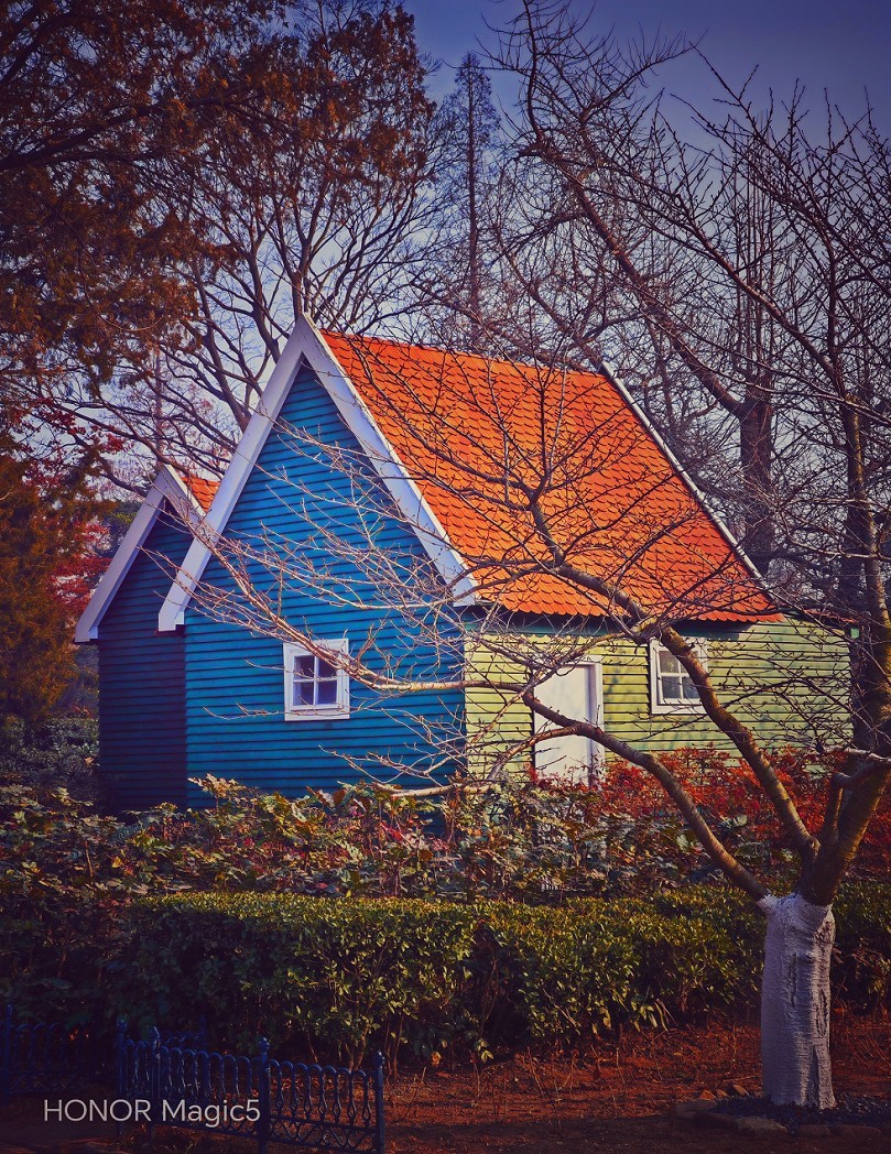 冬季胡拍乱拍扫《冬景就是冬天的景》《干枝烂叶总是情》什么乱七八糟的名字！