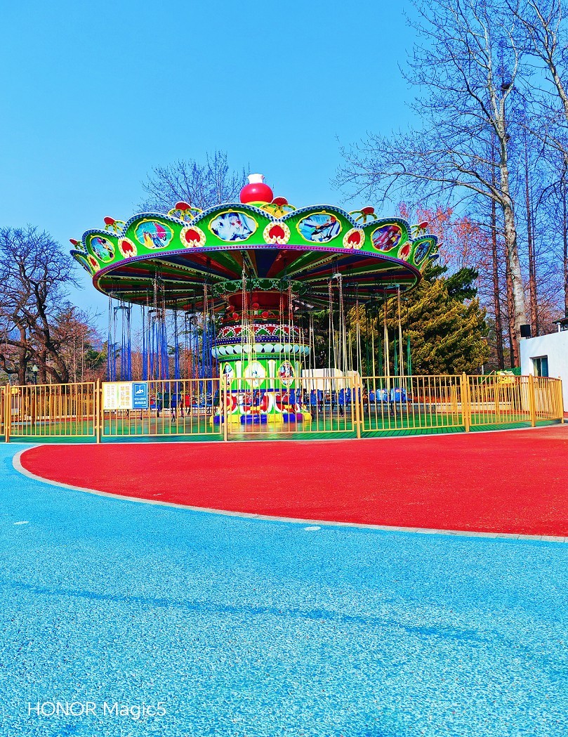 冬季胡拍乱拍扫《冬景就是冬天的景》《干枝烂叶总是情》什么乱七八糟的名字！