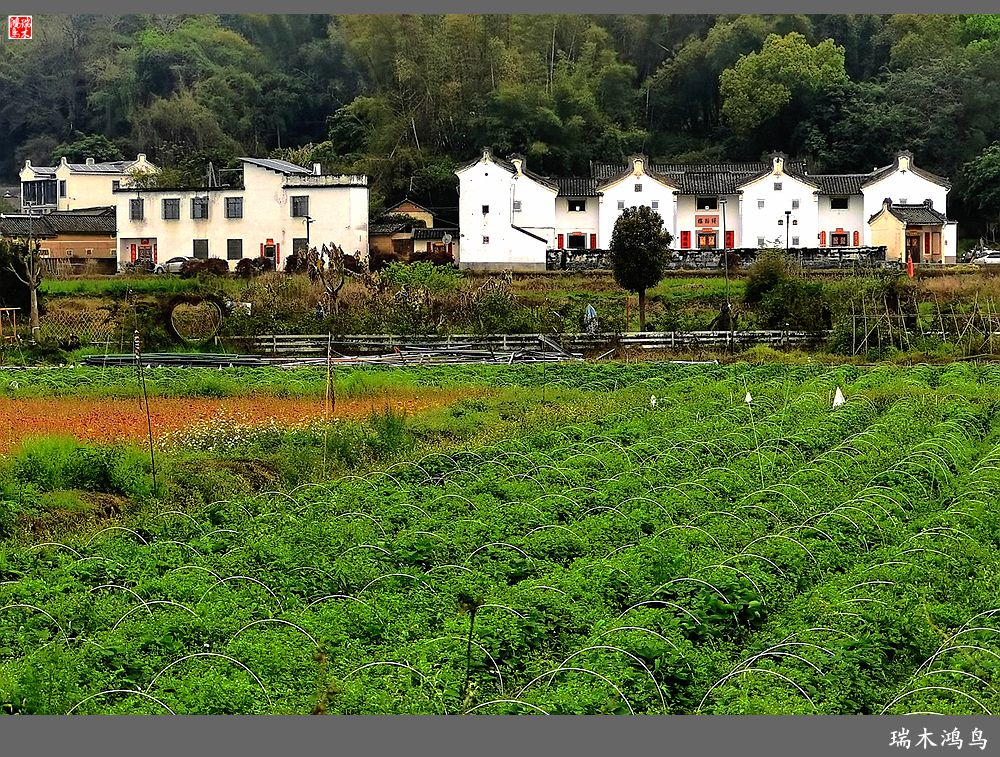 【印象潮汕】28.走进自在侨乡的南华又庐