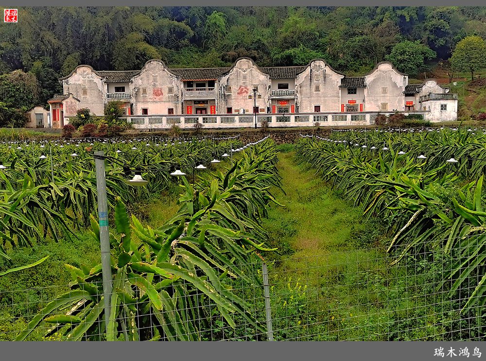 【印象潮汕】28.走进自在侨乡的南华又庐