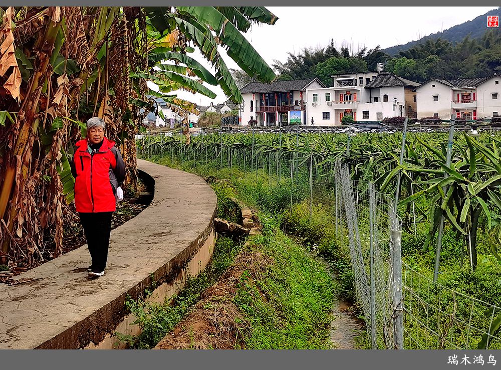 【印象潮汕】28.走进自在侨乡的南华又庐