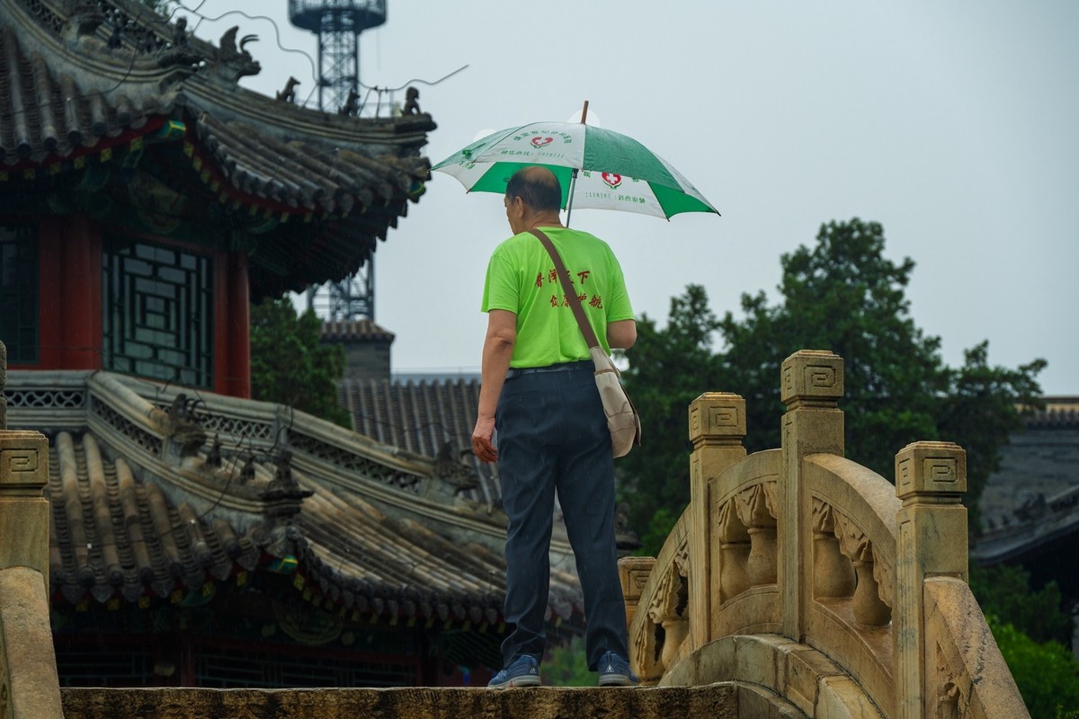 荷花飘香系列图片(17)荷塘留影