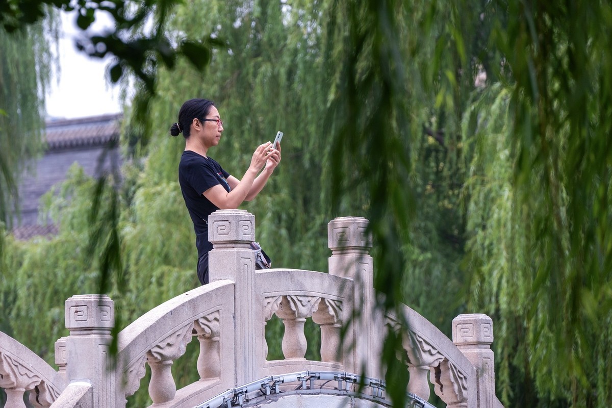 荷花飘香系列图片(17)荷塘留影