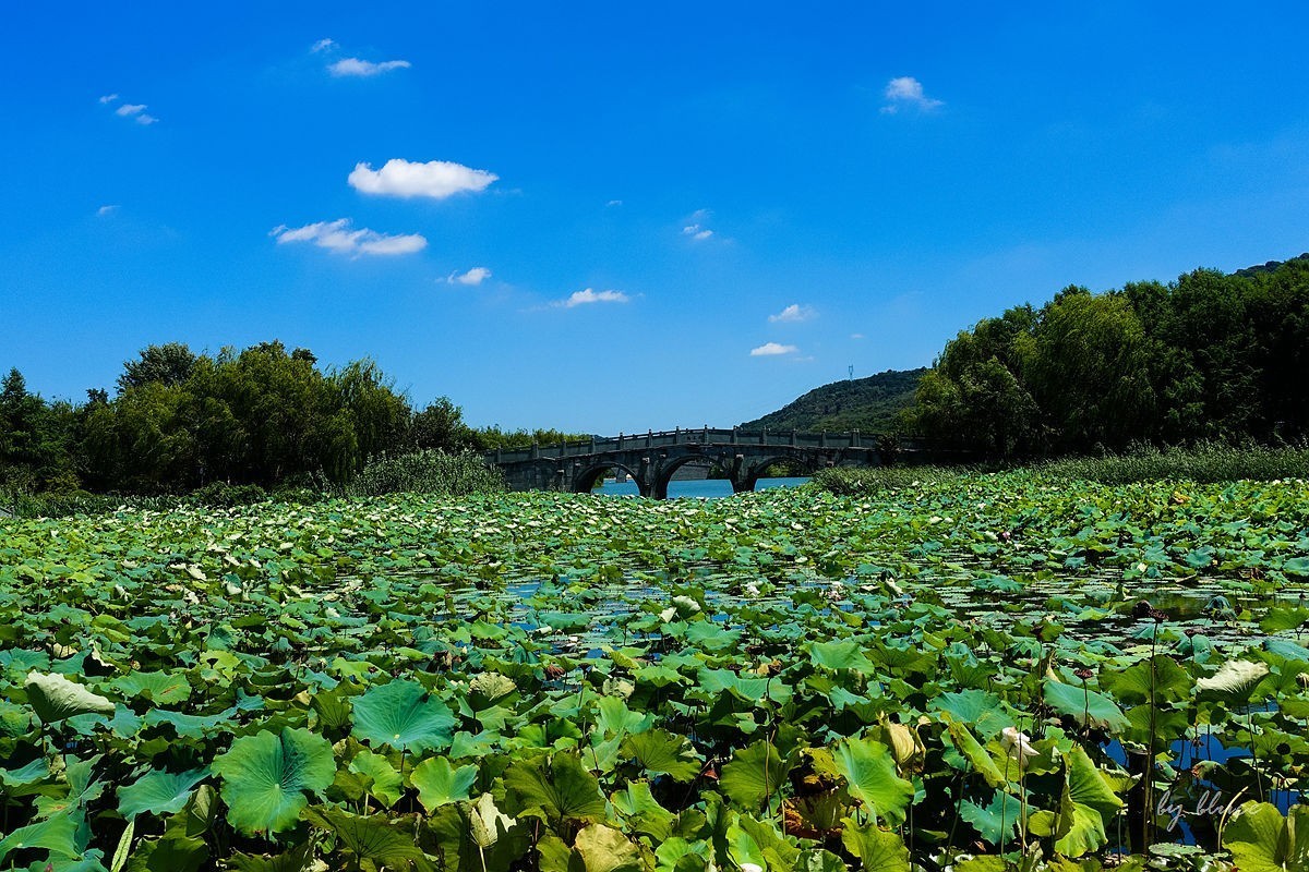 夏日湘湖（7）