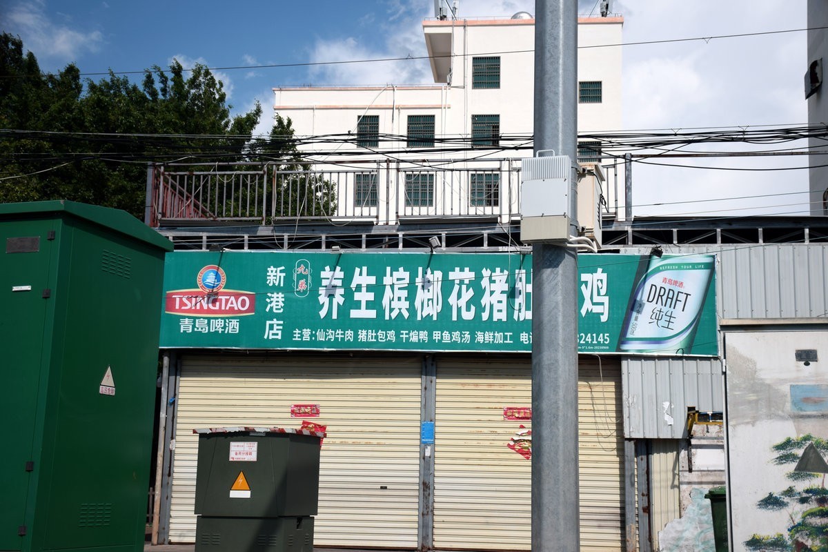 2024夏 海南环岛行（133）感恩平原