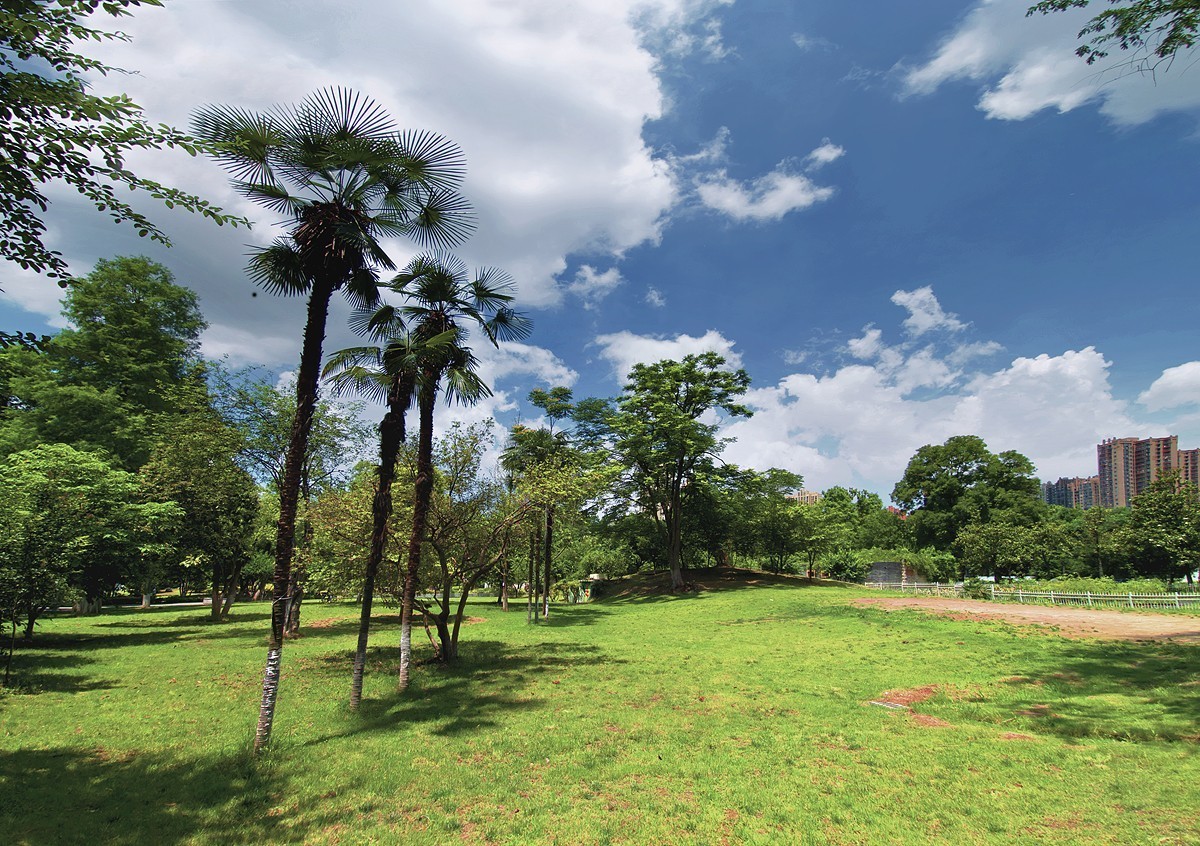 武汉园林科普公园6