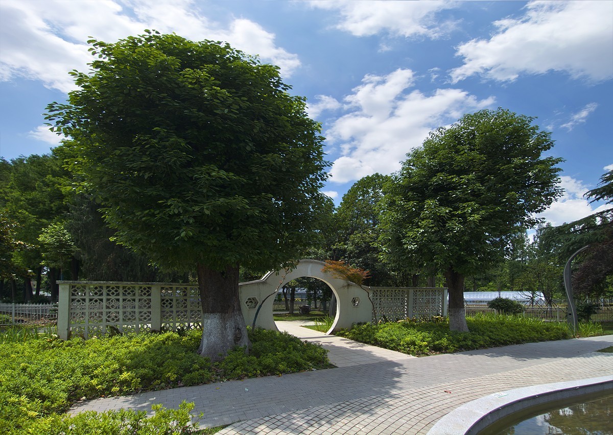 武汉园林科普公园6