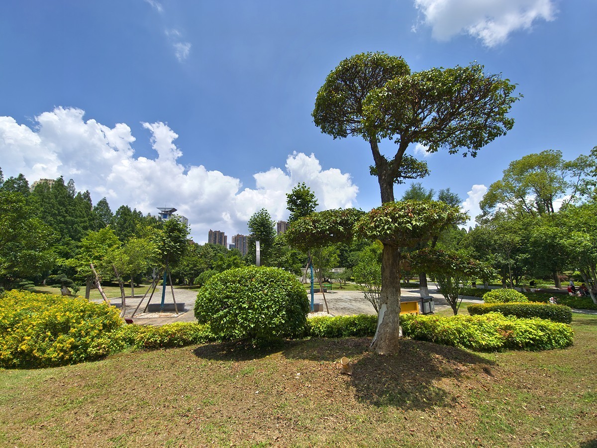 武汉园林科普公园6